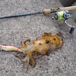 モエモエグリーンに萌え萌え